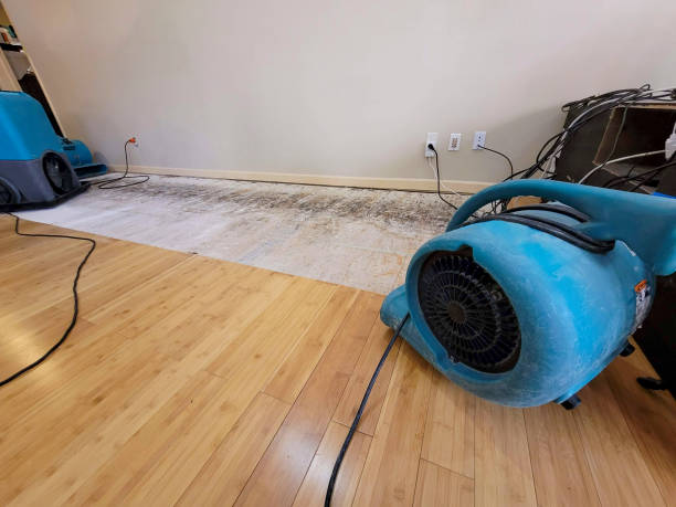 Professional Water Damage Repair technician working in New Richland, MN